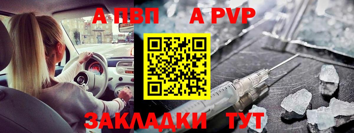 Alfa_PVP крисы CK Камень-на-Оби