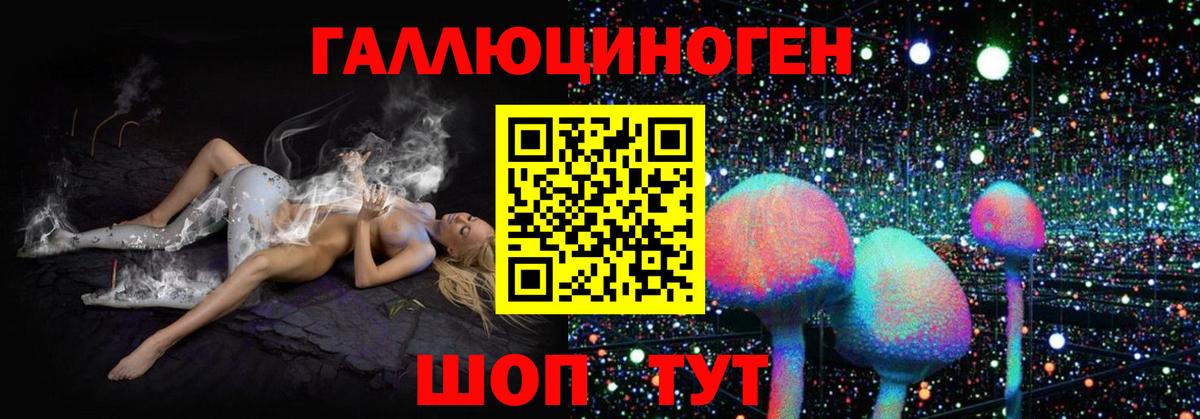 Псилоцибиновые грибы Cubensis Камень-на-Оби
