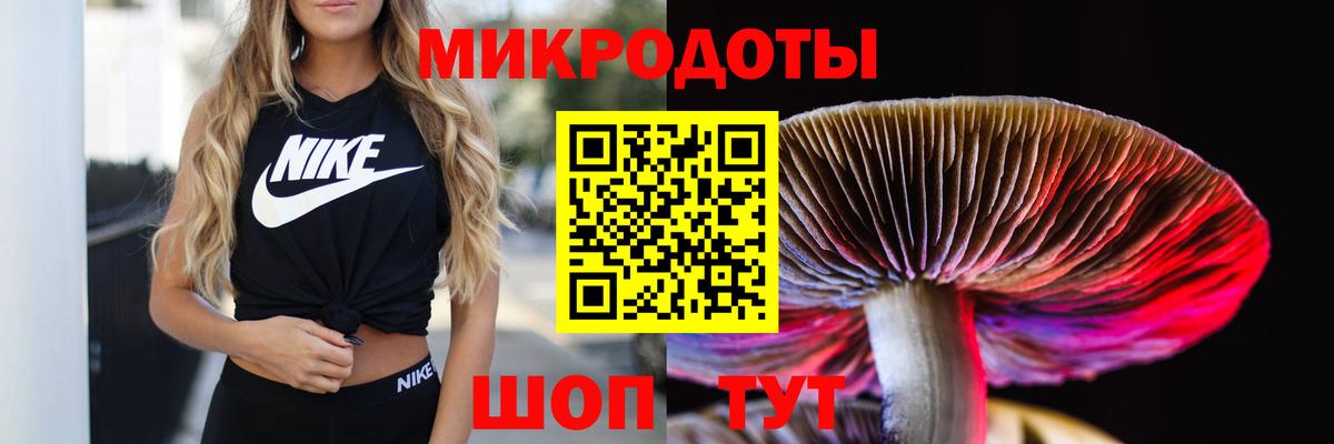 Камень-на-Оби  Галлюциногенные грибы Cubensis  Псилоцибиновые грибы Psilocybe  Вход с VPN 